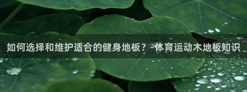 杏鑫体育平台登录入口