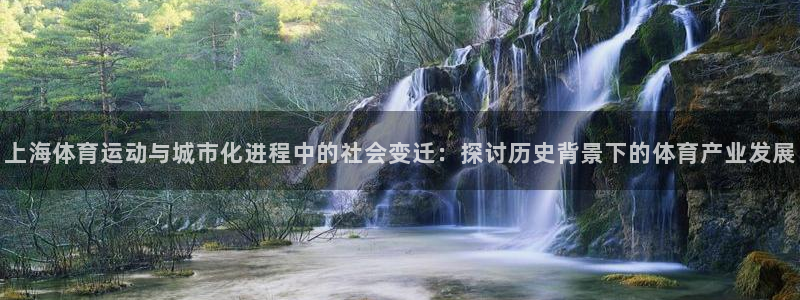 杏鑫平台注册