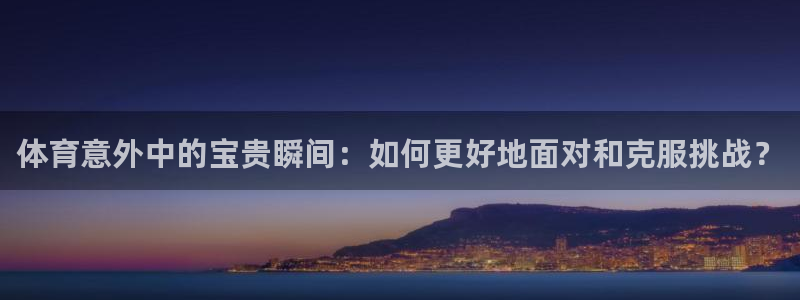杏鑫零能源集团
