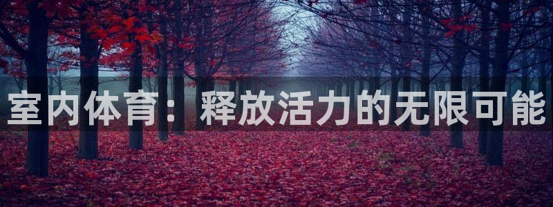 杏鑫平台开户链接