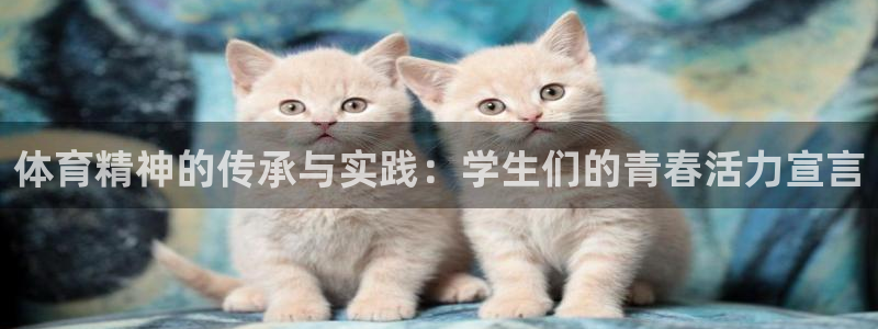 杏鑫体育官网入口登录