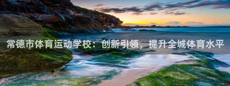 成都杏鑫电子有限公司