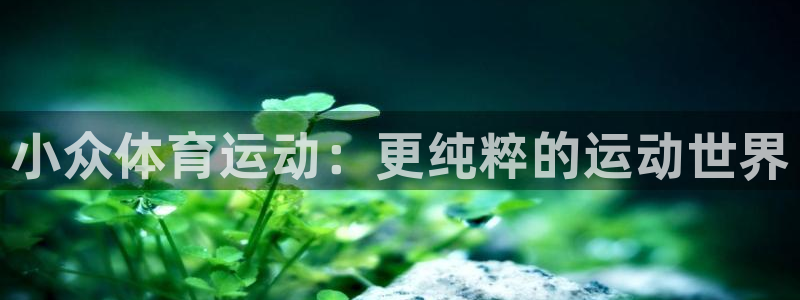 杏鑫4开户