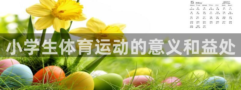 杏鑫电子有限公司