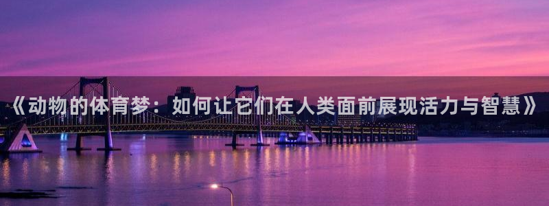 杏鑫4开户