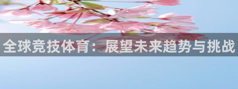 杏鑫2代理注册
