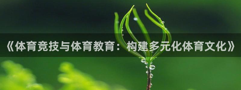 杏鑫代理