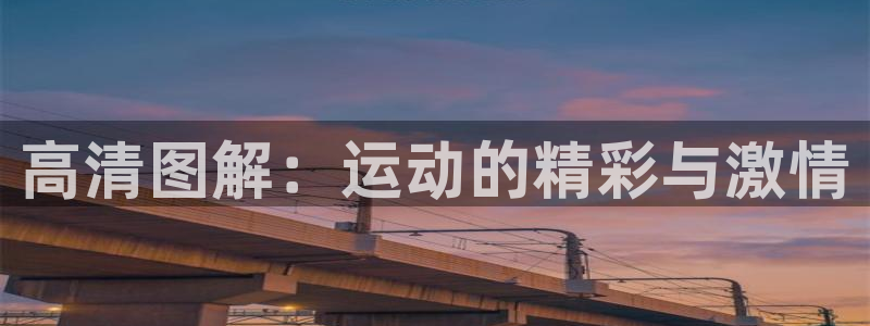 杏鑫体育用品