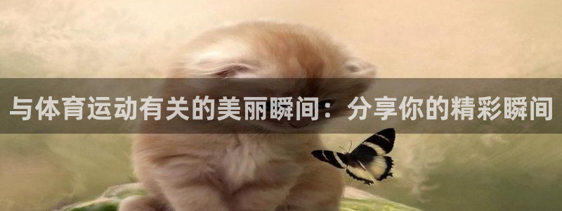 杏鑫2注册