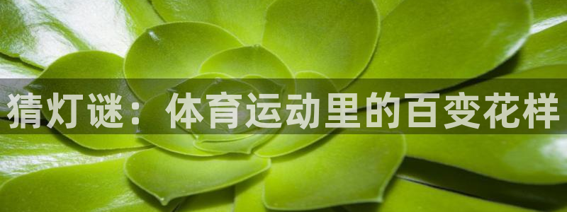 杏鑫官网入口