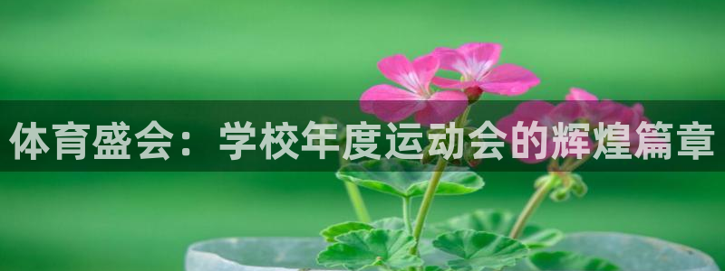 杏鑫f平台注册
