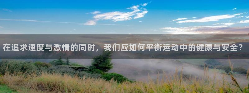 杏鑫体育网页版入口