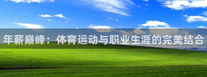 杏鑫平台注册入口