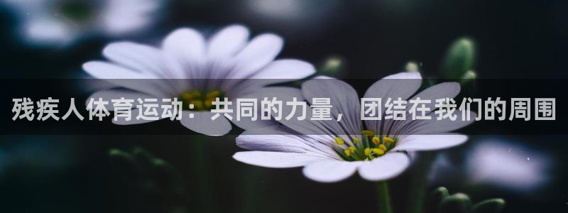 杏鑫官网