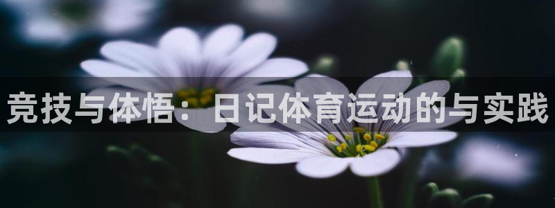 杏鑫2代理注册