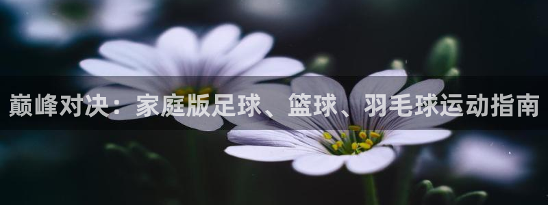 杏鑫体育注册登录入口