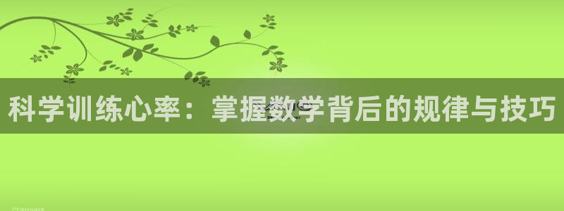 杏鑫kgame
