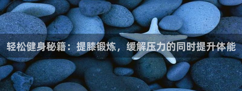 杏鑫体育网页版入口